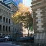 Sydney CBD - Macquarie Street