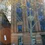 Sydney CBD - Macquarie Street