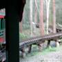 Timbertown