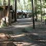 Timbertown