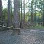 Timbertown