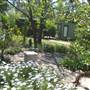 The Vines Holiday Cottages