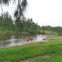 Yarramundi Reserve, Agnes Banks