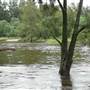 Yarramundi Reserve, Agnes Banks