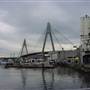 Sydney Fish Market