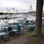 Sydney Fish Market