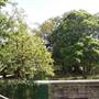 Kirkbride Callan Park