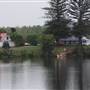 Taree