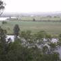 Taree