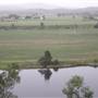 Taree