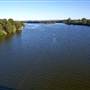 Taree
