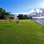 Taree