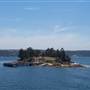 Shark Island