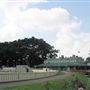 Wentworth Park Dog Track