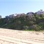 Whale Beach