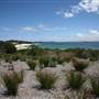 Yarra Bay Beach, Yarra Point & Bicentennial Park