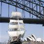 Southern Swan - Ship