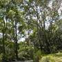 Tuckers Rocks Beach & Cottage - Bongil Bongil National Park