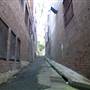 Surry Hills - Sophia Lane