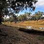 Walgett Area