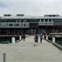 Walsh Bay - Piers/Wharves Pier 2/3