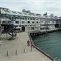 Walsh Bay - Piers/Wharves Pier 2/3