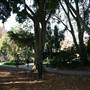 Hyde Park and Archibald Fountain - Sydney CBD