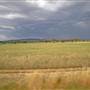 Road from Coolah Tops to Coolah