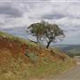 Road from Coolah Tops to Coolah