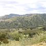 Road from Coolah Tops to Coolah