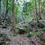 Red Cedar Flat picnic area