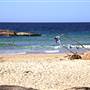 South West Rocks
