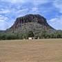 Warrumbungle National Park