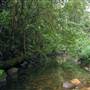 Way Way State Forest