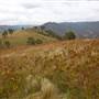 Wollondilly River Station