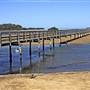 Urunga