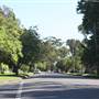Lindfield