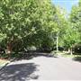 Bareena Ave - Pymble