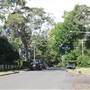 Braeside St - Pymble