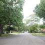 Coolabah Ave - Pymble