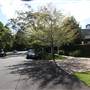 Kintore St - Pymble
