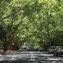 Water St - Pymble