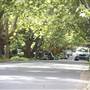 Wahroonga
