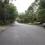 Congham Rd - Pymble