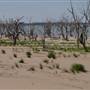 Broken Hill