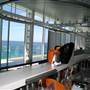 Bondi Icebergs