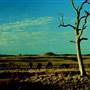 Armidale Area