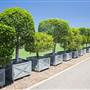 Sydney Showground - Amenities