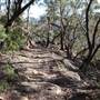 Bushrangers Cave