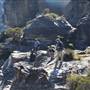Boars Head Lookout